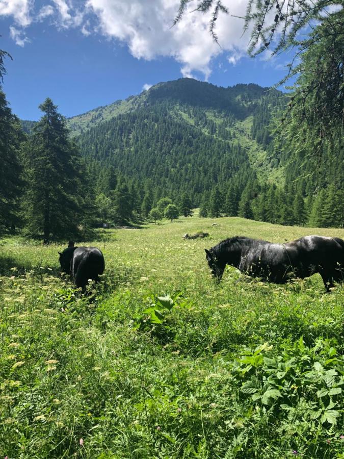 Agriturismo Ciambun ซัมแปร์เร ภายนอก รูปภาพ